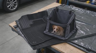 The Subaru Dog-Hair Survival Guide: Cargo Liners, Seat Covers, and Reasonable Expectations